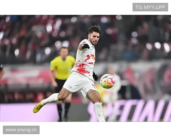 哈兰德索博斯洛伊通道密聊引热议